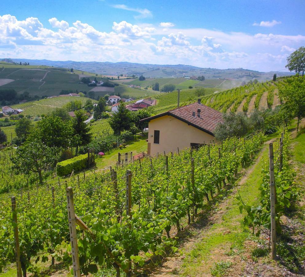Вілла Cascina Tra I Vigneti A Ніцца-Монферрато Екстер'єр фото