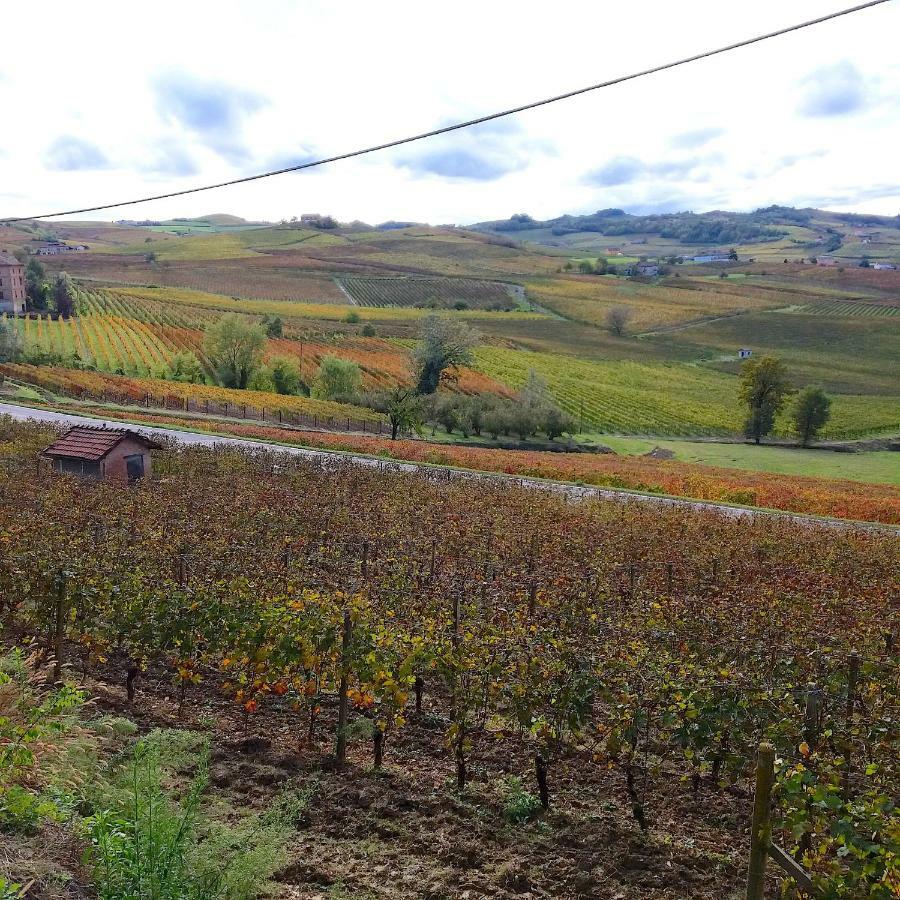 Вілла Cascina Tra I Vigneti A Ніцца-Монферрато Екстер'єр фото