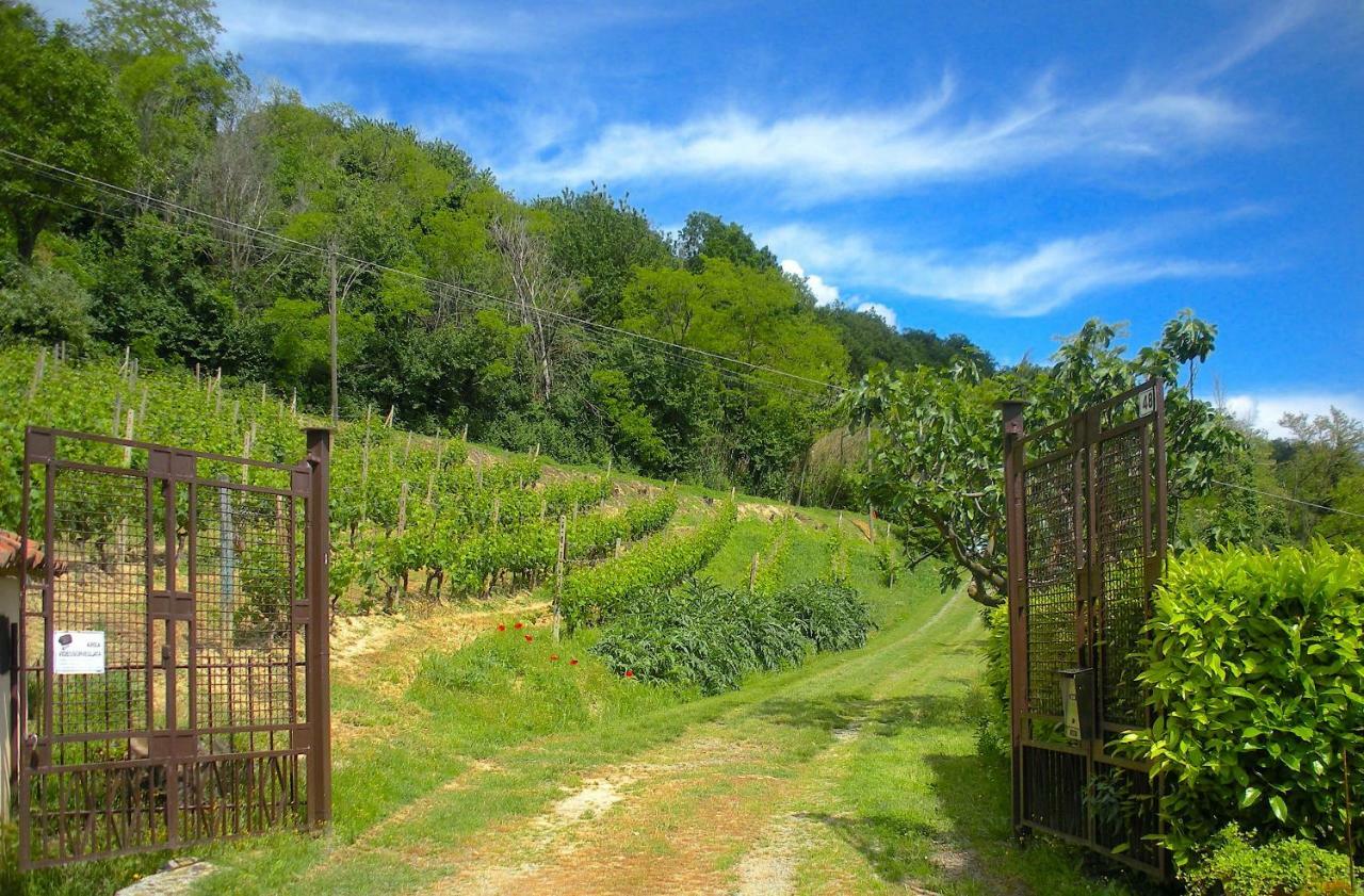 Вілла Cascina Tra I Vigneti A Ніцца-Монферрато Екстер'єр фото